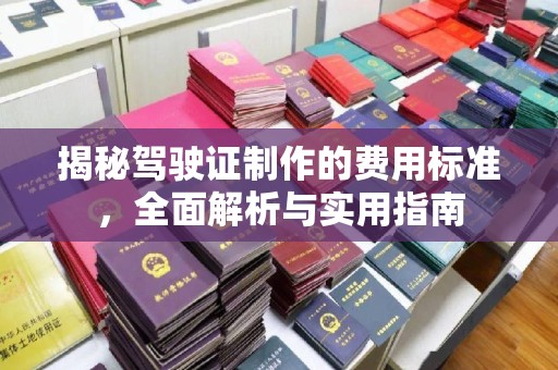 长武揭秘驾驶证制作的费用标准，全面解析与实用指南