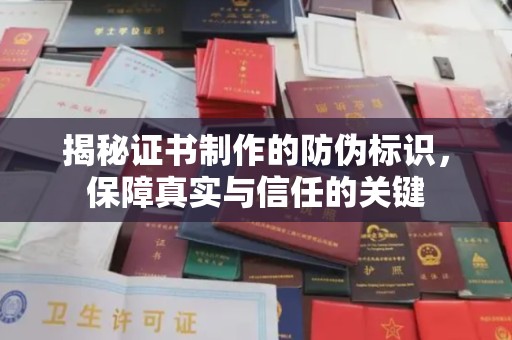 长武揭秘证书制作的防伪标识，保障真实与信任的关键