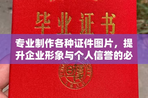 长武专业制作各种证件图片，提升企业形象与个人信誉的必备之选