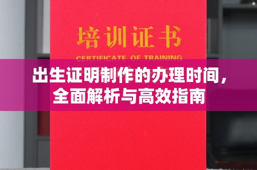 长武出生证明制作的办理时间，全面解析与高效指南