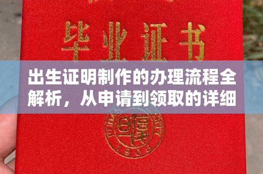 长武出生证明制作的办理流程全解析，从申请到领取的详细指南