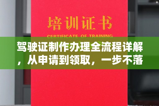 长武驾驶证制作办理全流程详解，从申请到领取，一步不落