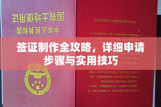 长武签证制作全攻略，详细申请步骤与实用技巧