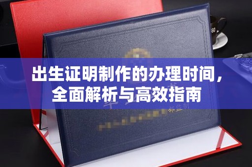 长武出生证明制作的办理时间，全面解析与高效指南