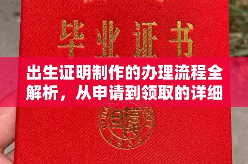 长武出生证明制作的办理流程全解析，从申请到领取的详细指南