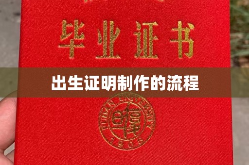长武出生证明制作的流程