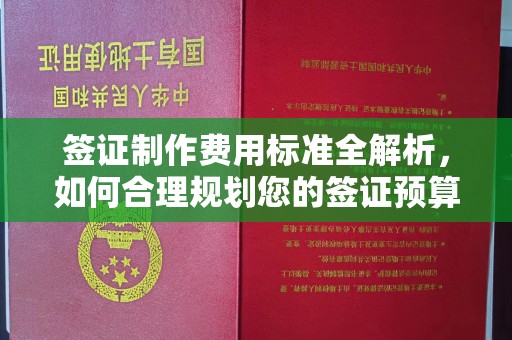 长武签证制作费用标准全解析，如何合理规划您的签证预算？